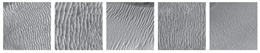 Remotesensing 12 03981 i004