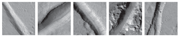 Remotesensing 12 03981 i010