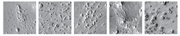 Remotesensing 12 03981 i012