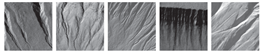 Remotesensing 12 03981 i014