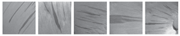 Remotesensing 12 03981 i016