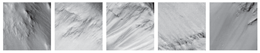 Remotesensing 12 03981 i018