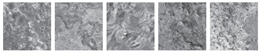 Remotesensing 12 03981 i024