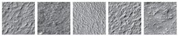 Remotesensing 12 03981 i026