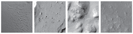 Remotesensing 12 03981 i036