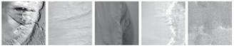 Remotesensing 12 03981 i038