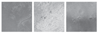 Remotesensing 12 03981 i043