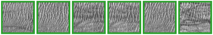 Remotesensing 12 03981 i048