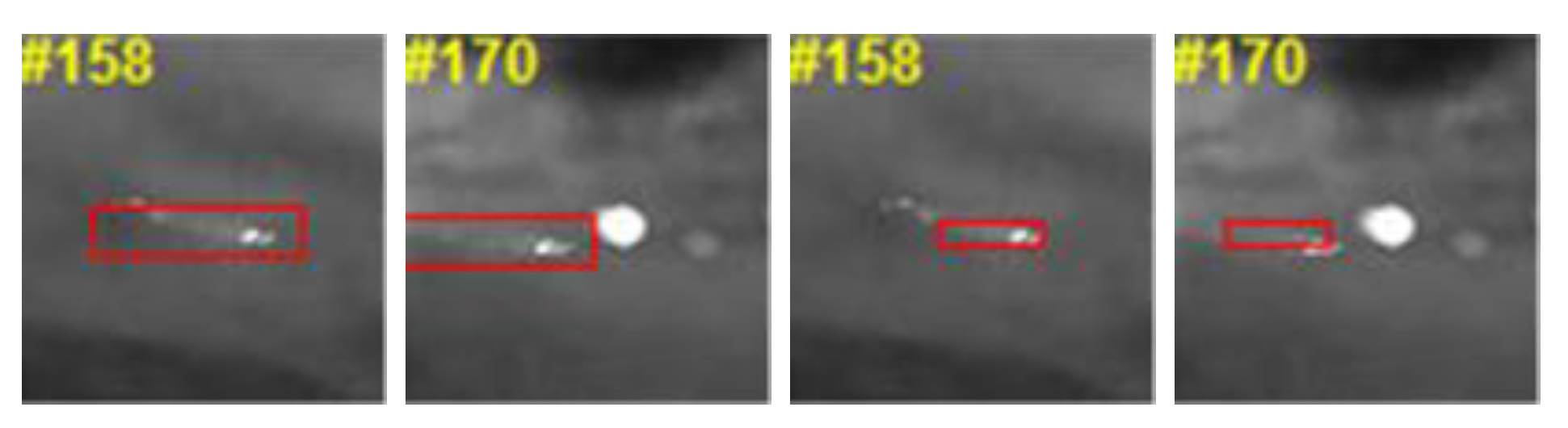 Remotesensing 12 03995 g013