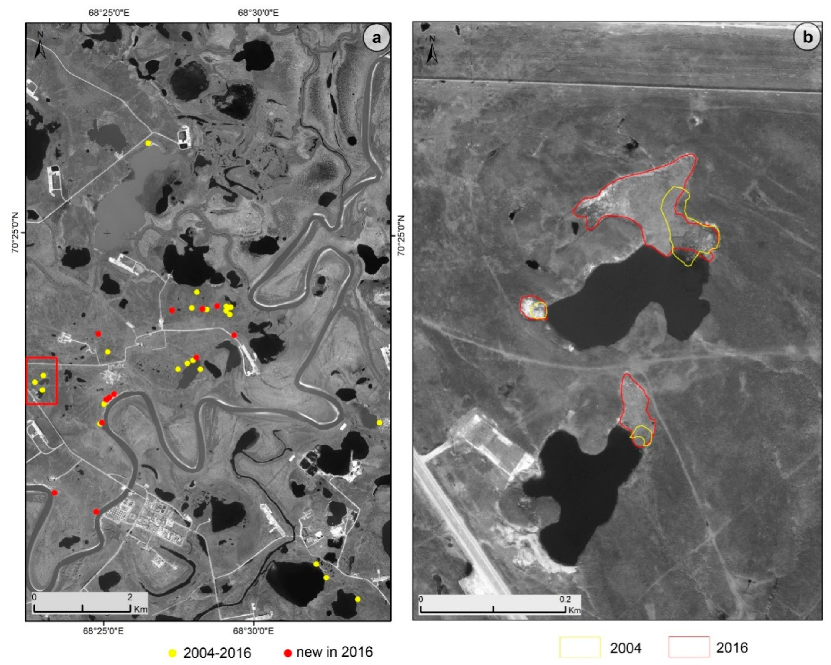 Remotesensing 12 03999 g010