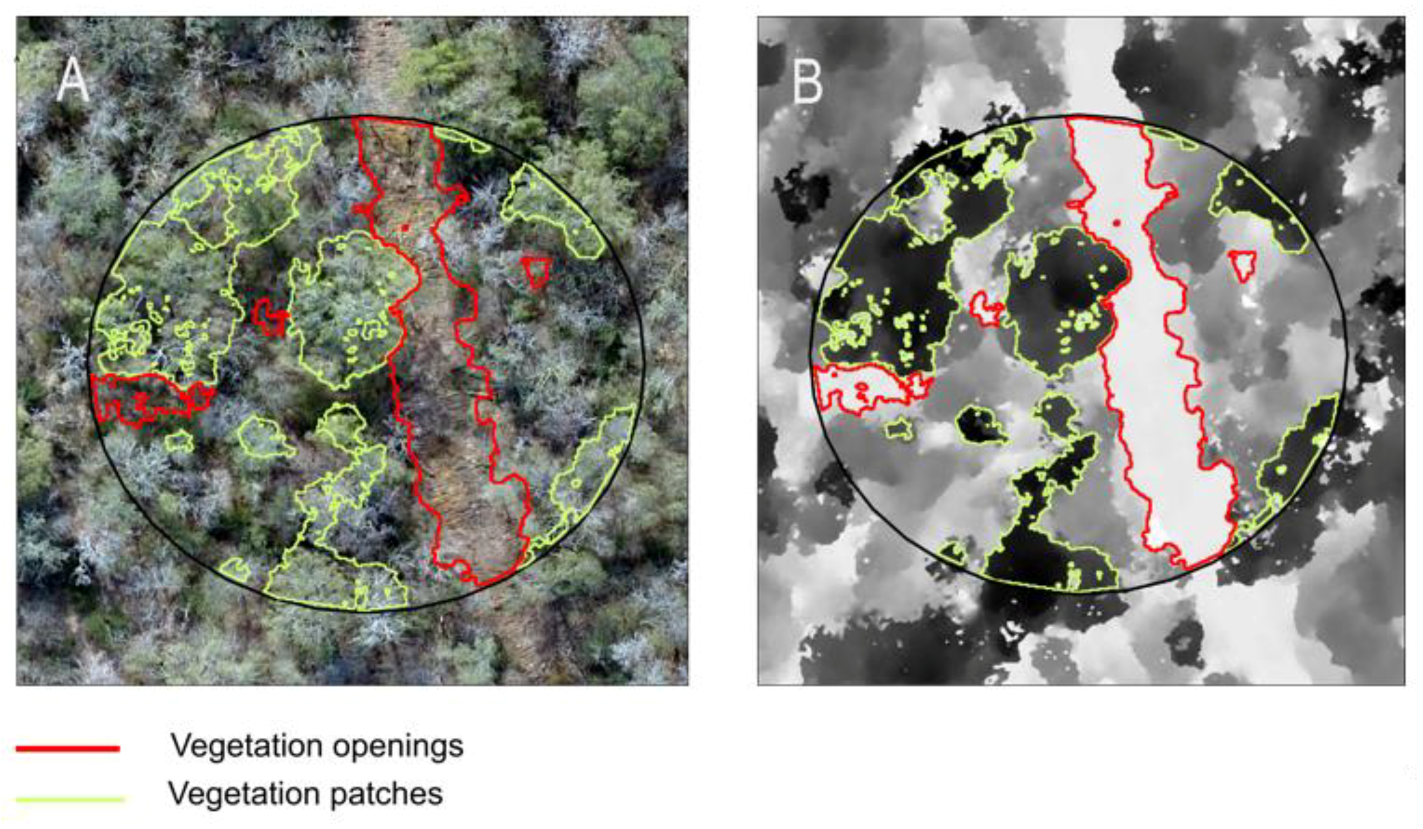 Remotesensing 12 04005 g003