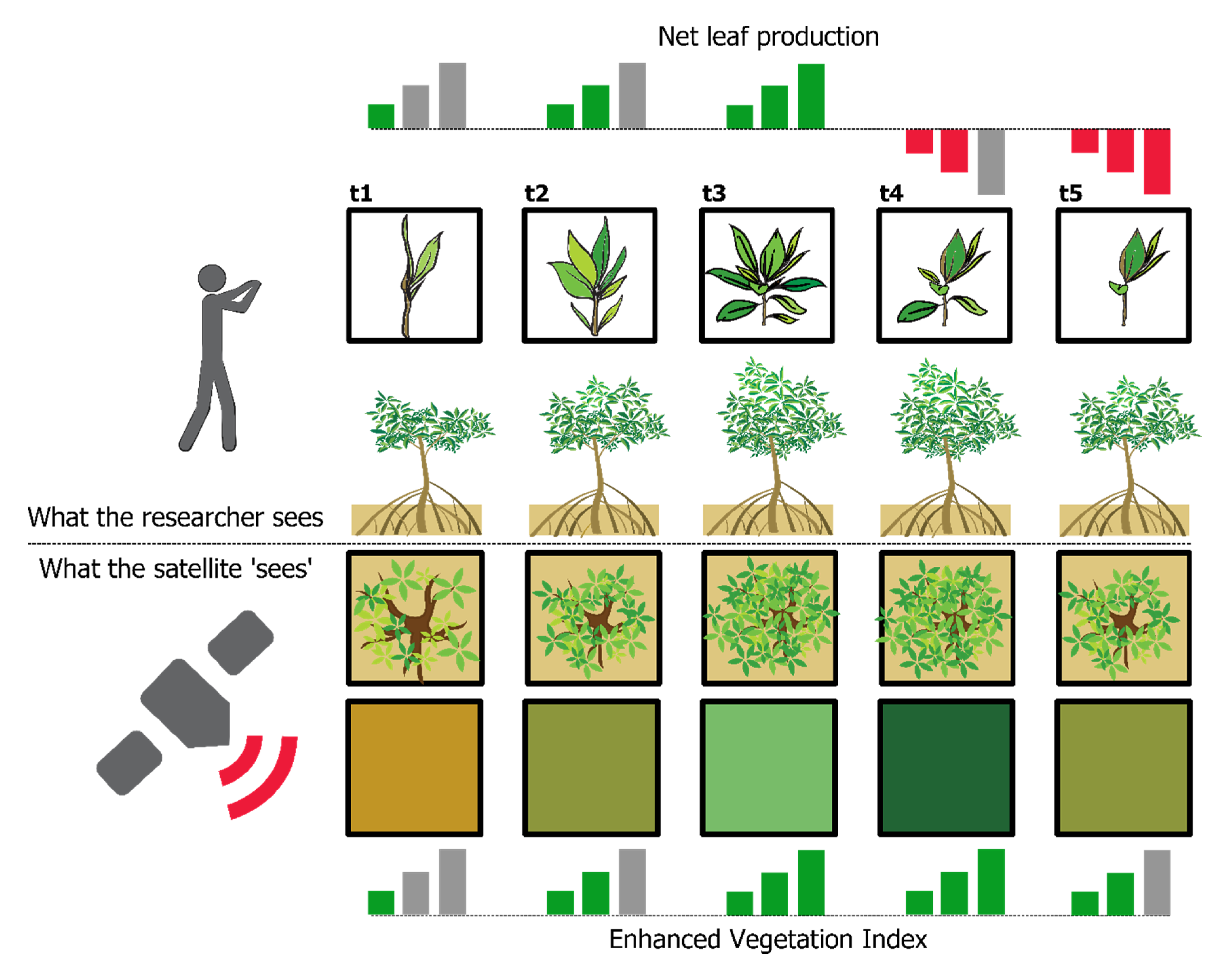 Remotesensing 12 04008 g008 Remotesensing 12 04008 g008