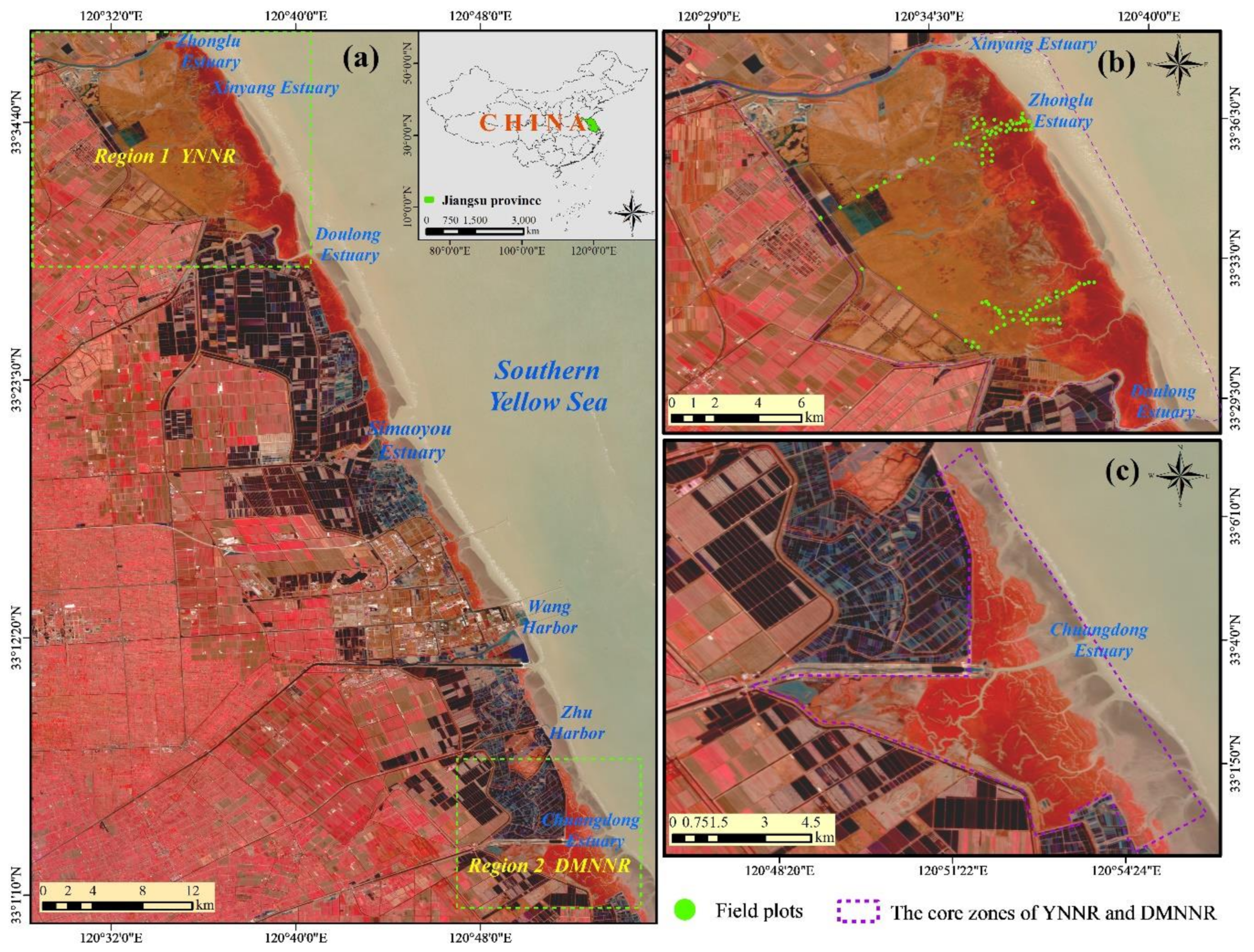Remotesensing 12 04010 g001