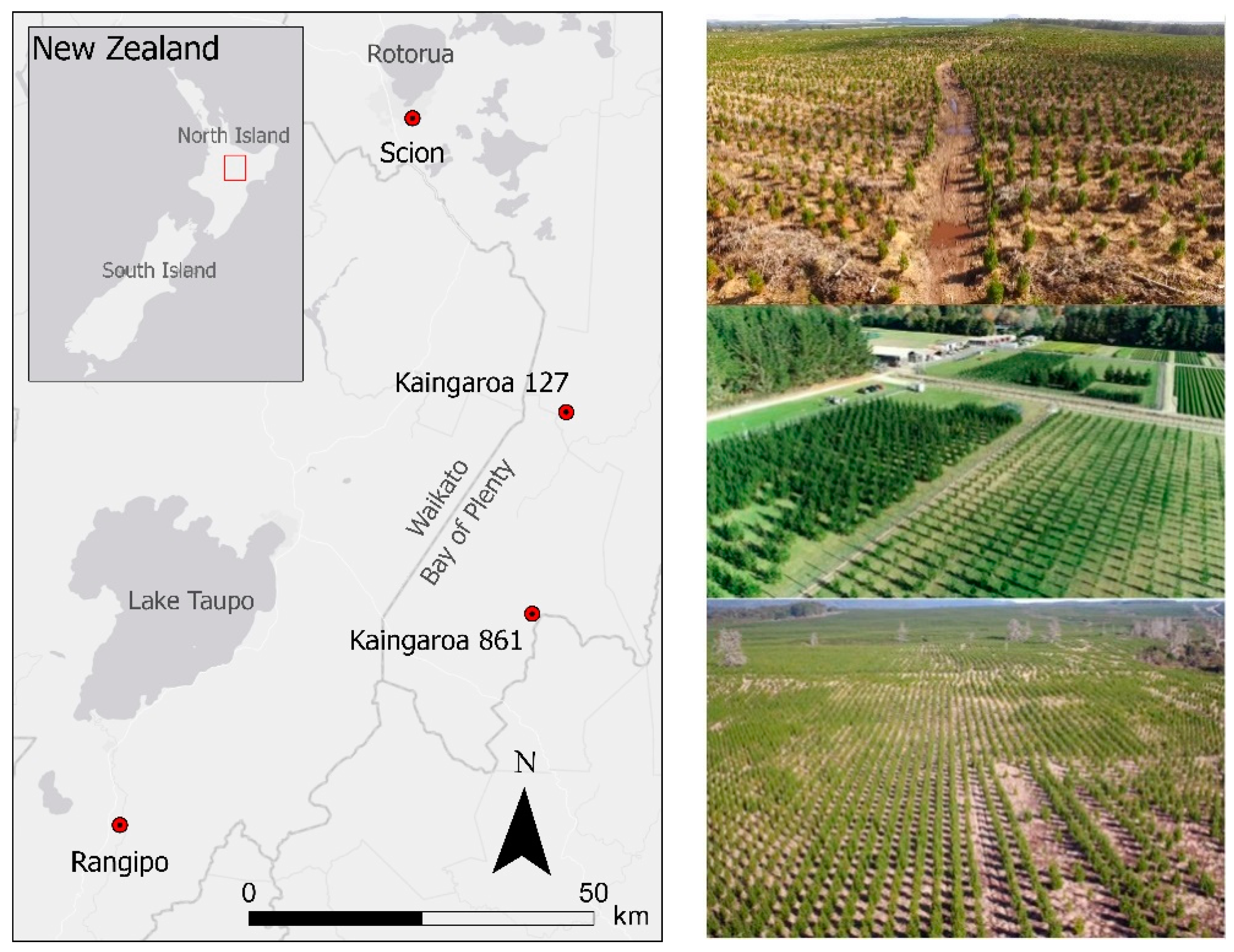 Remotesensing 12 04039 g001