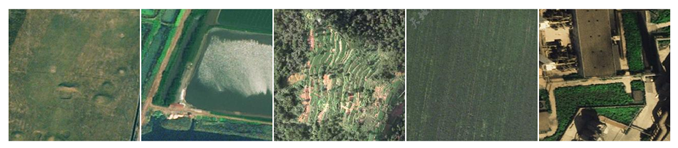 Remotesensing 12 04046 i009 Remotesensing 12 04046 i009