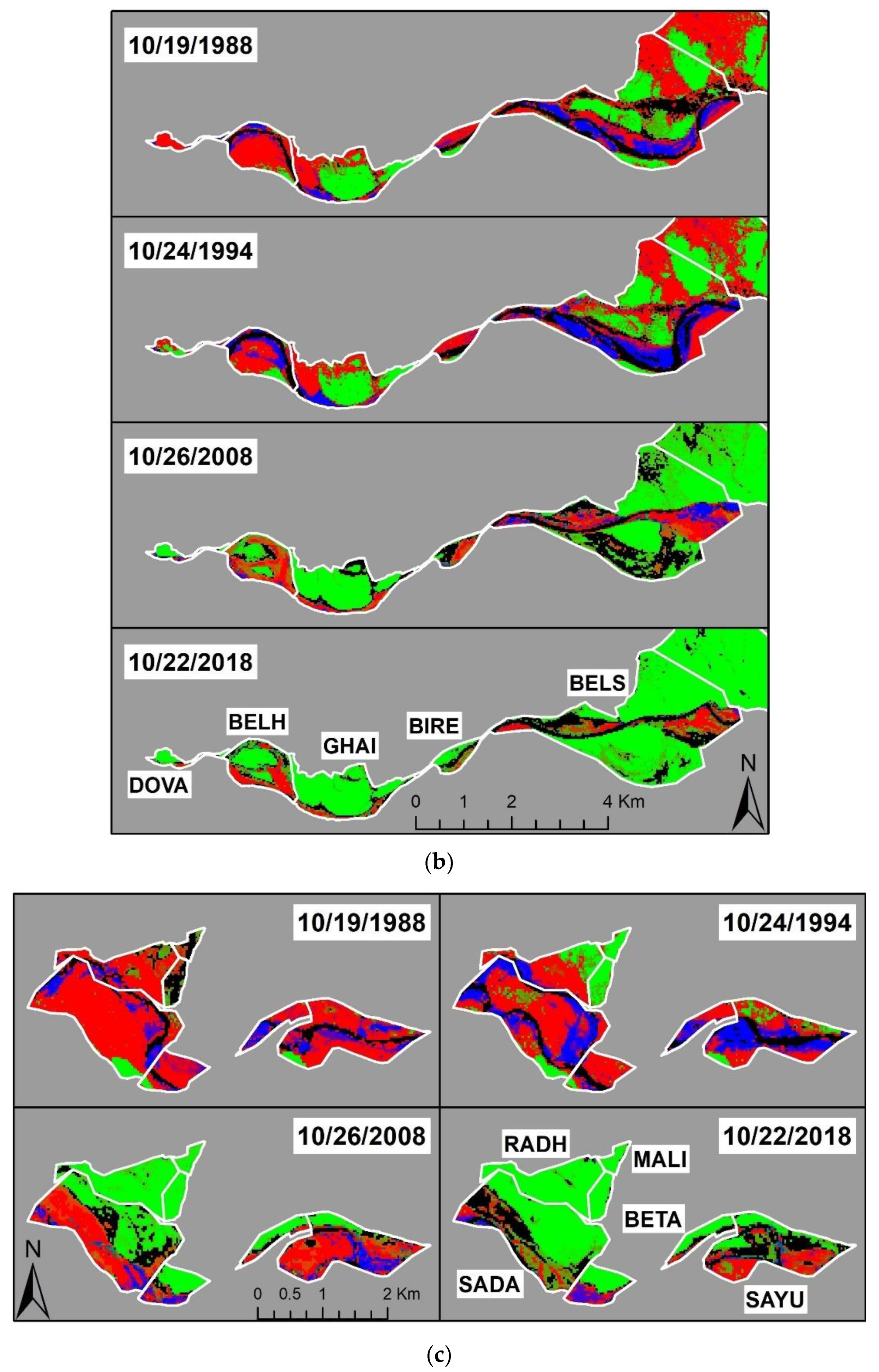 Remotesensing 12 04071 g003b