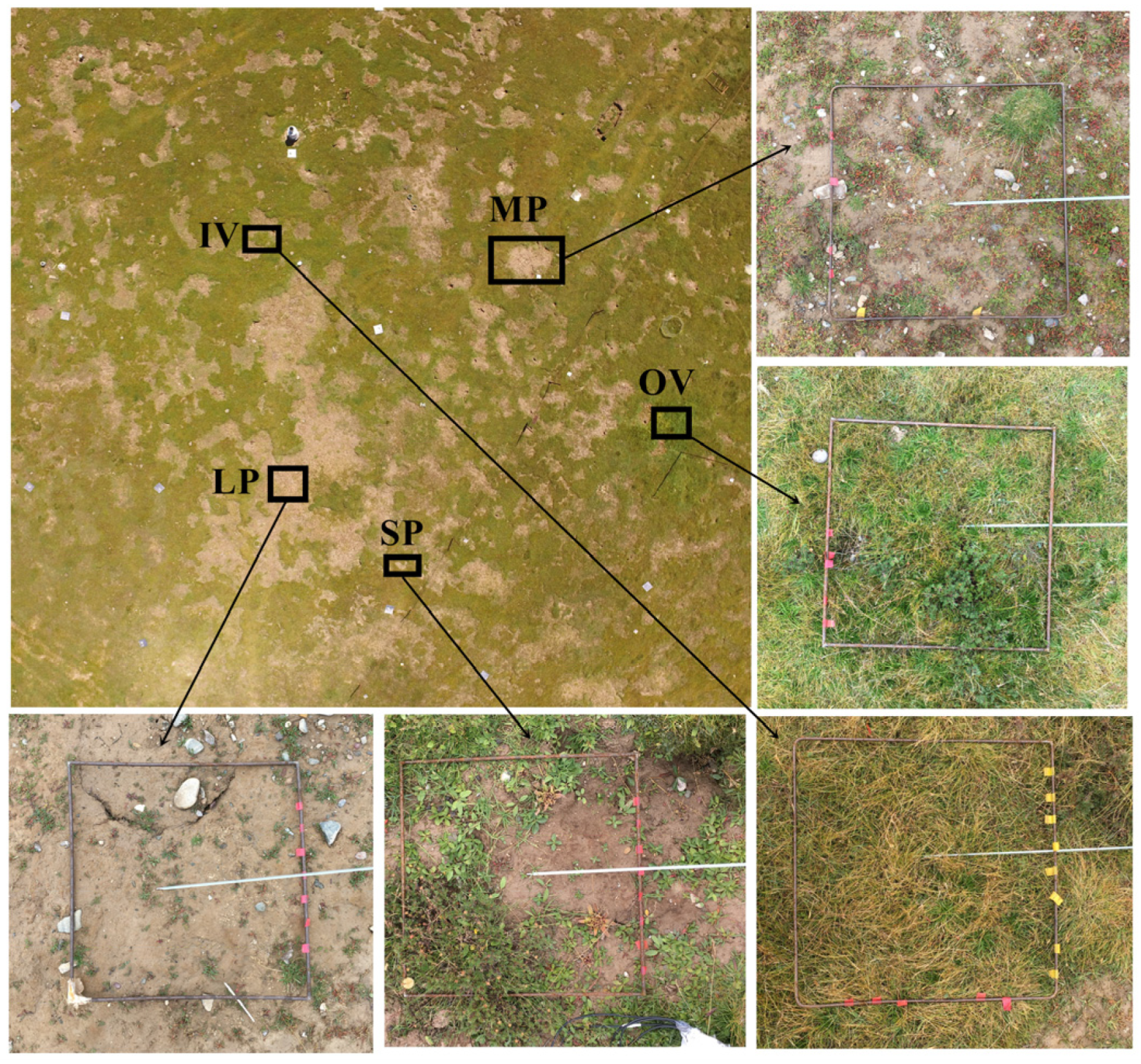 Remotesensing 12 04121 g002