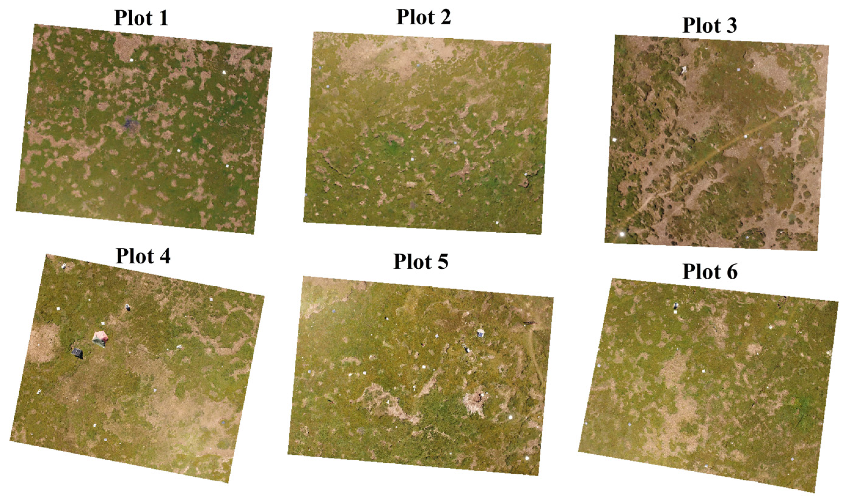 Remotesensing 12 04121 g006