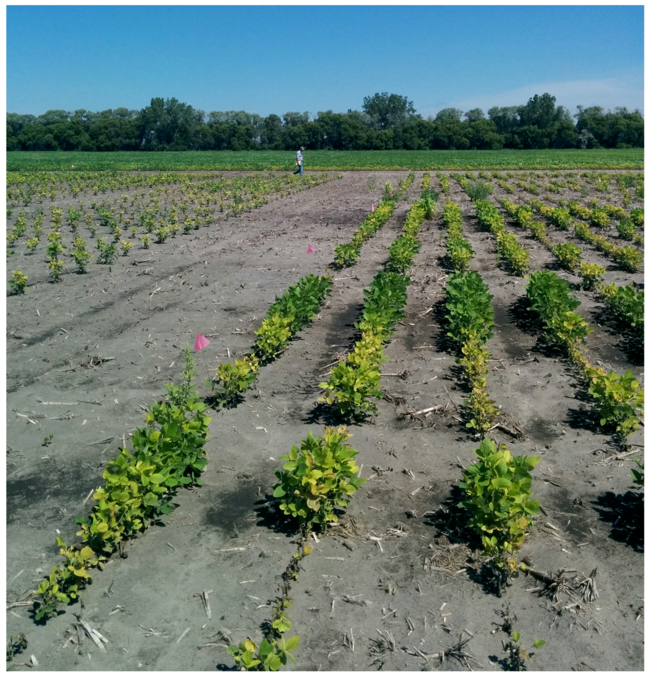 Remotesensing 12 04143 g001