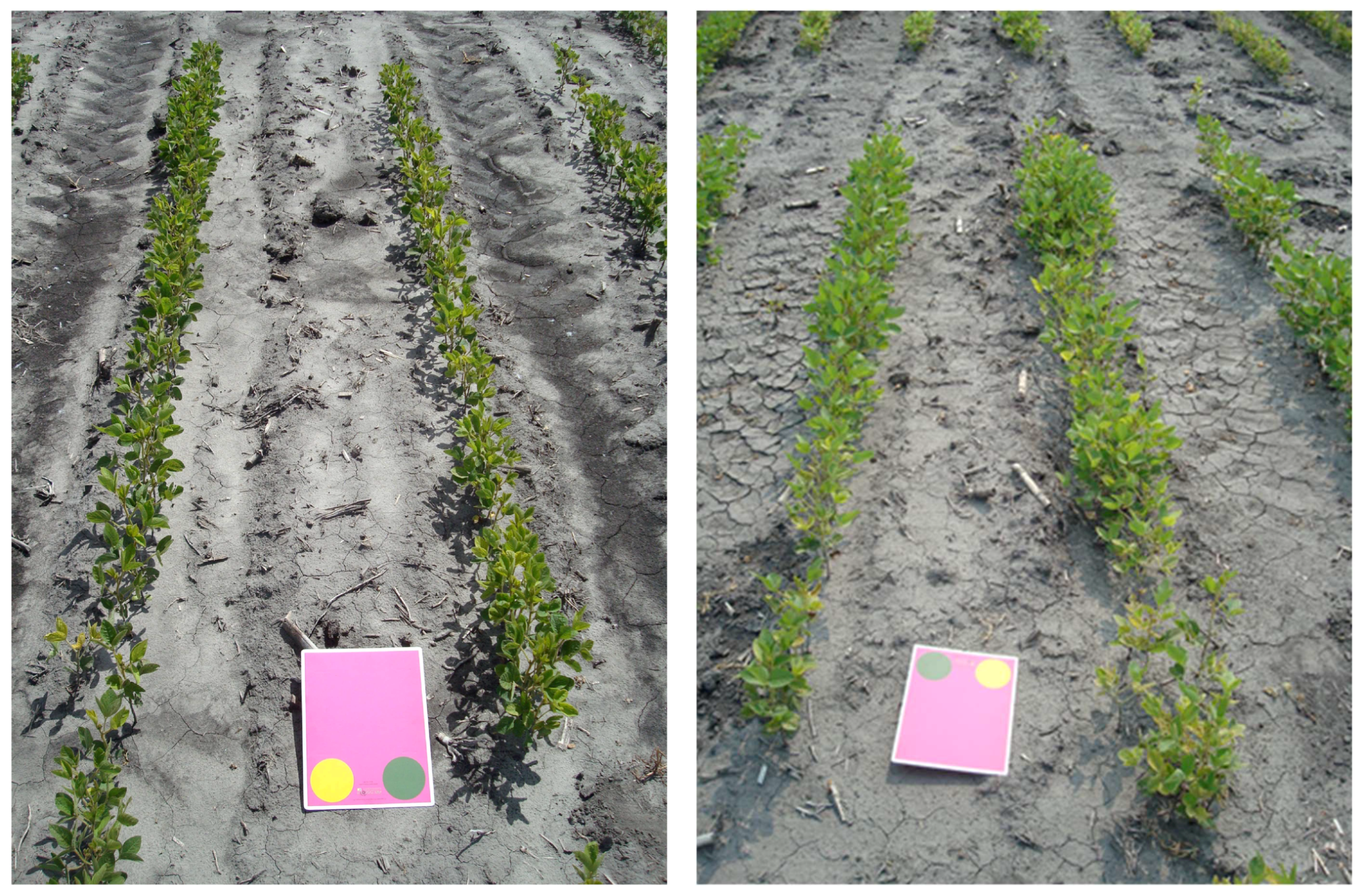 Remotesensing 12 04143 g003