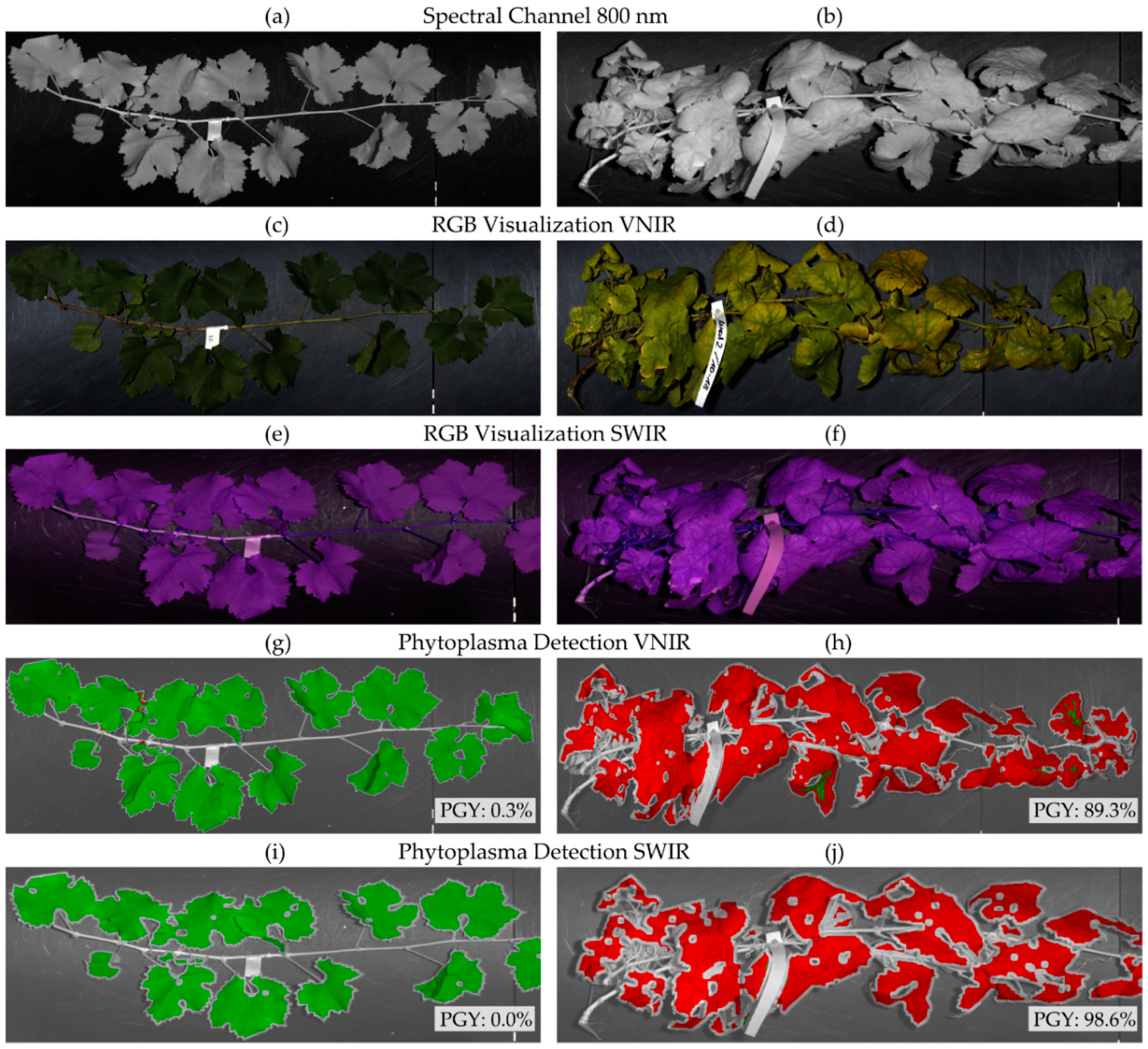 Remotesensing 12 04151 g003