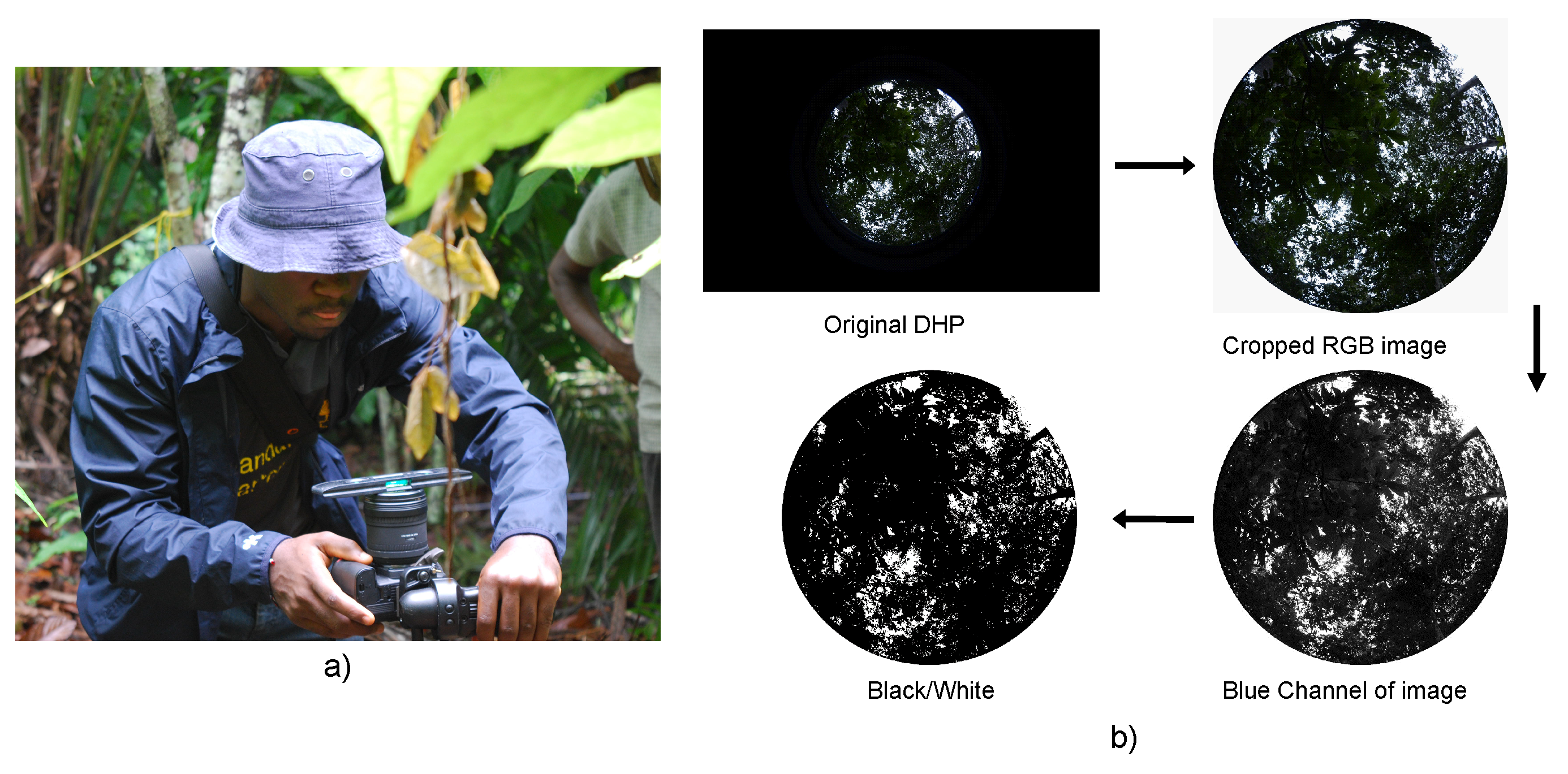 Remotesensing 12 04163 g002