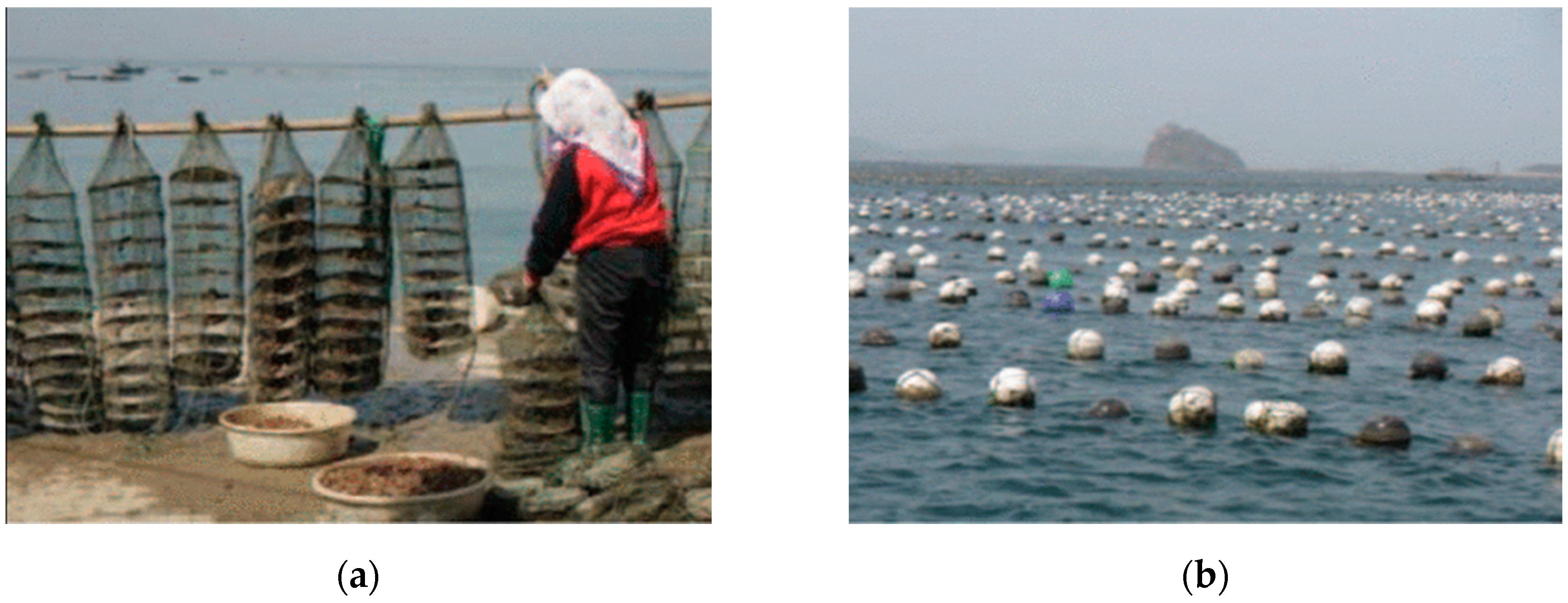 Remotesensing 12 04182 g001