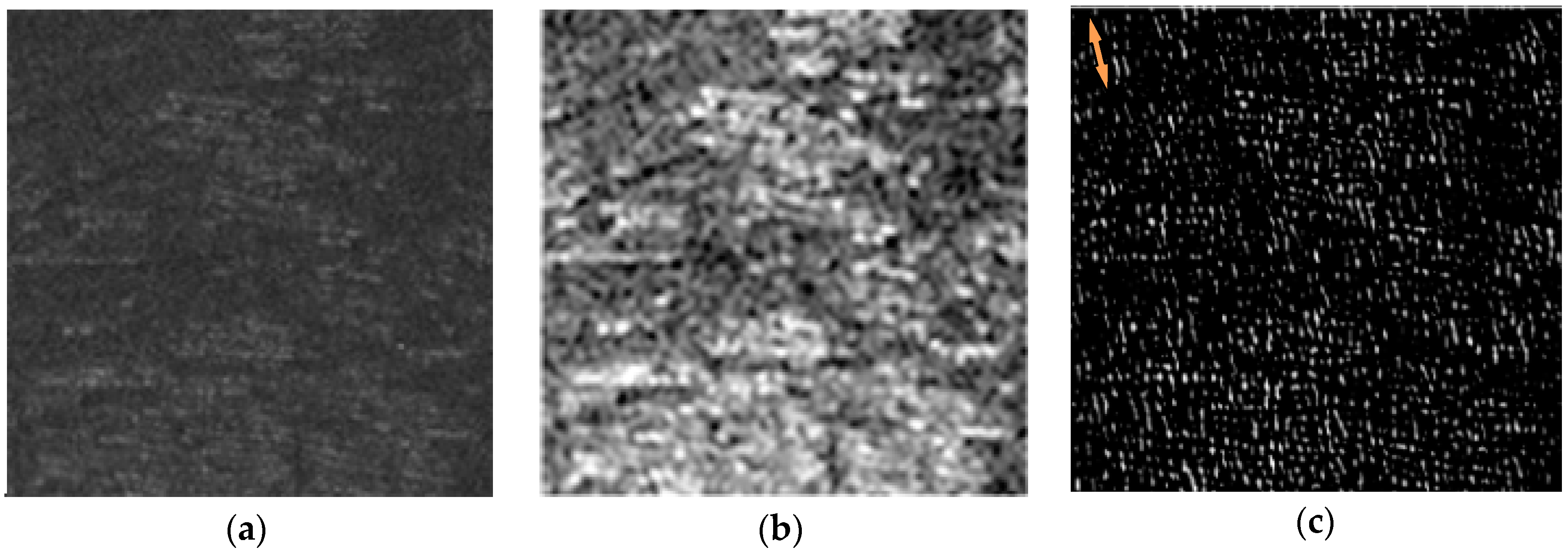 Remotesensing 12 04182 g006a