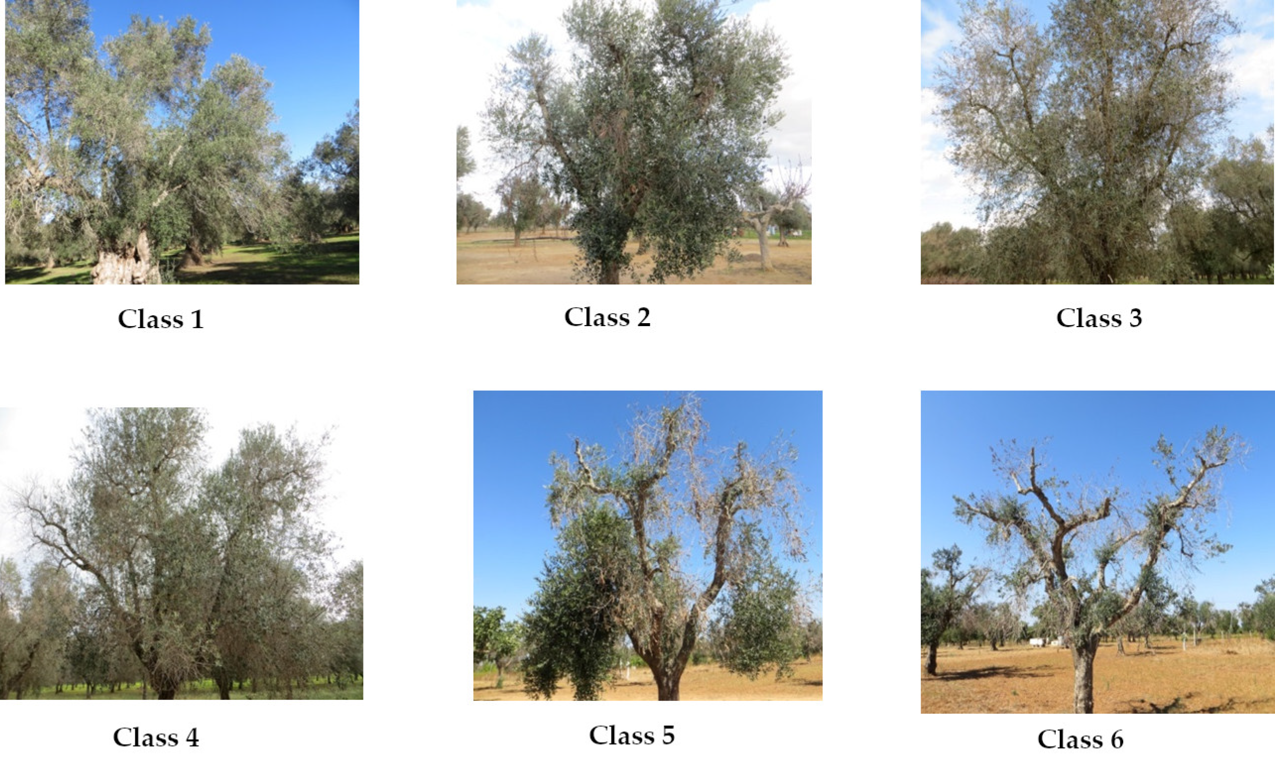 Remotesensing 13 00014 g002