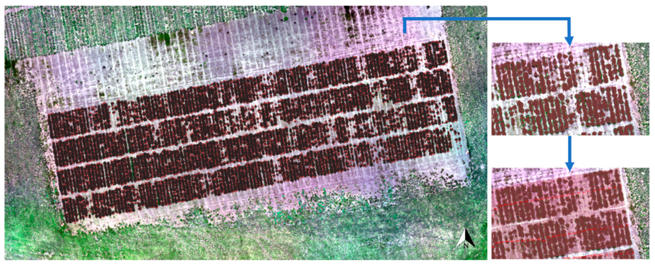 Remotesensing 13 00020 g010