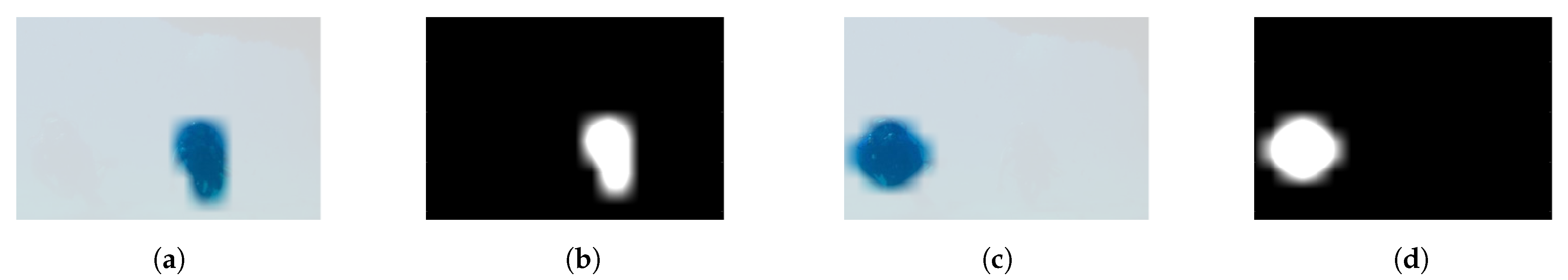 Remotesensing 13 00022 g004