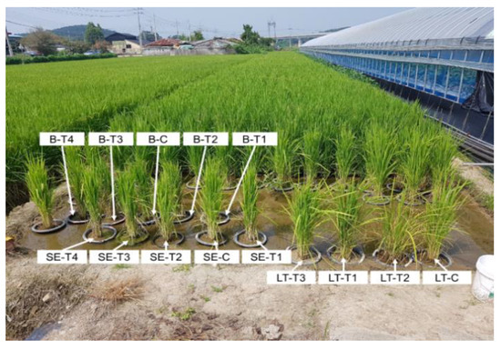 Remotesensing 13 00025 g0a2