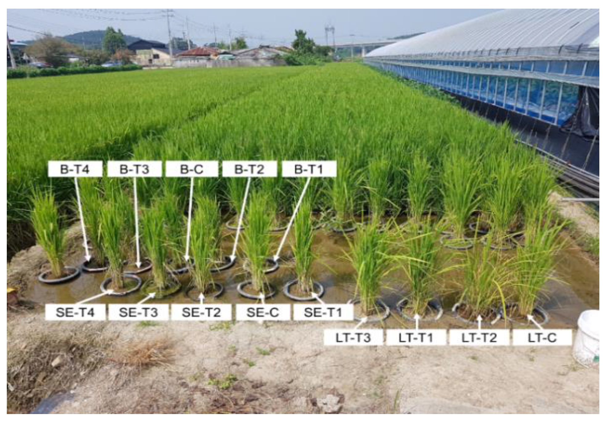 Remotesensing 13 00025 g0a2