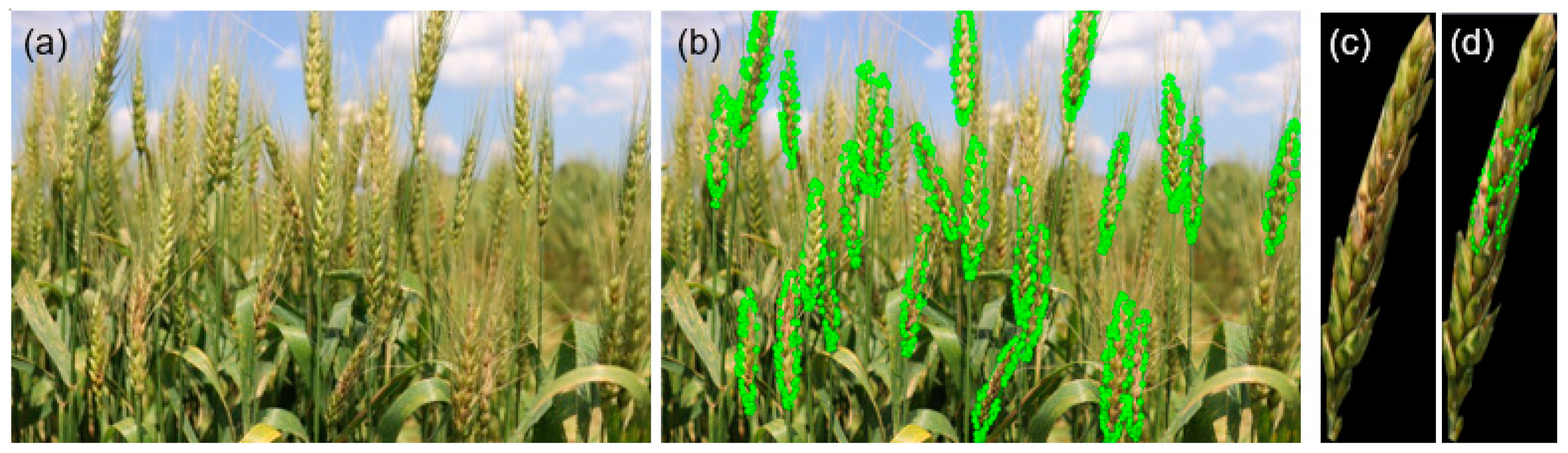 Remotesensing 13 00026 g001 Remotesensing 13 00026 g001