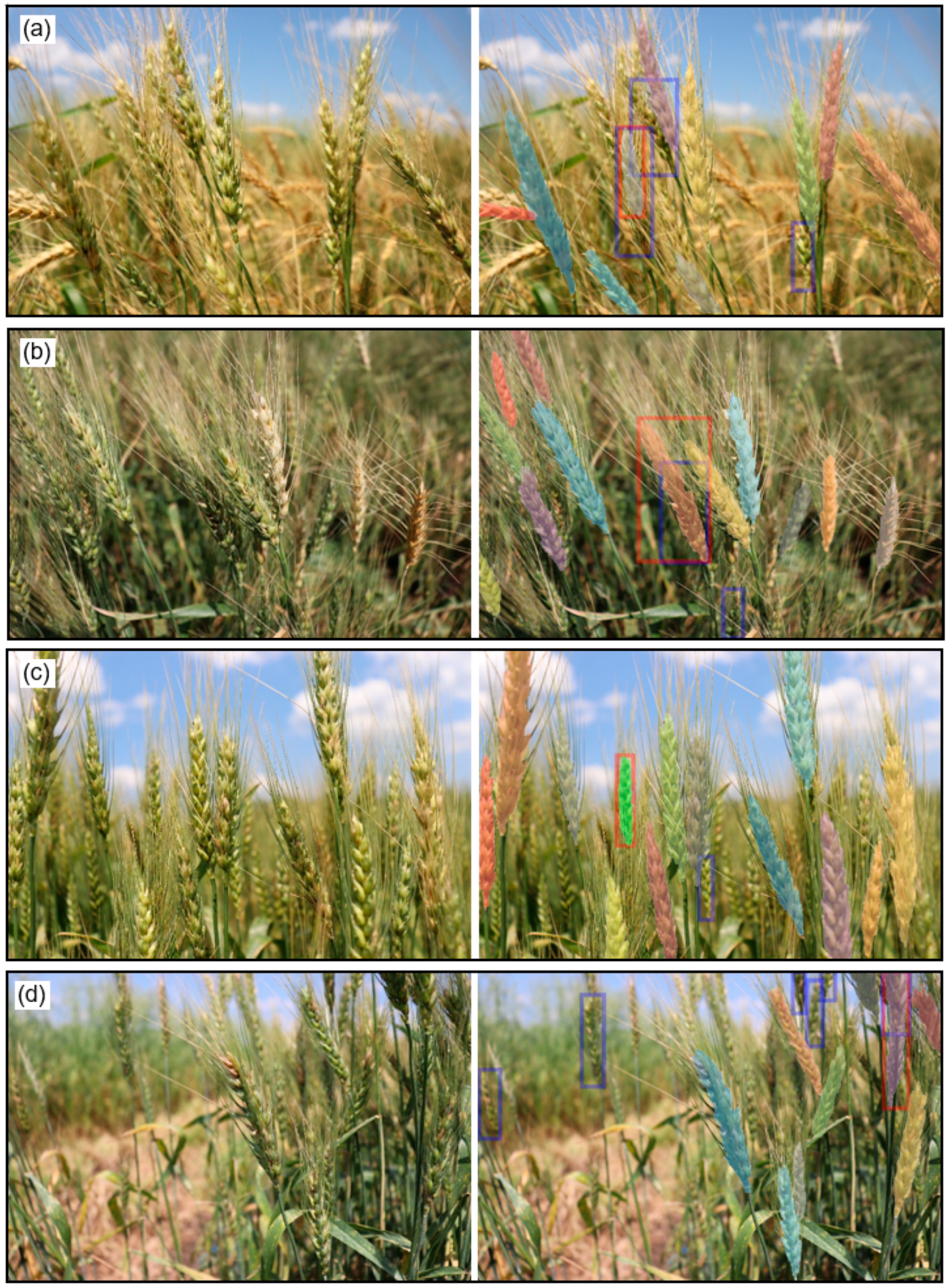 Remotesensing 13 00026 g006 Remotesensing 13 00026 g006