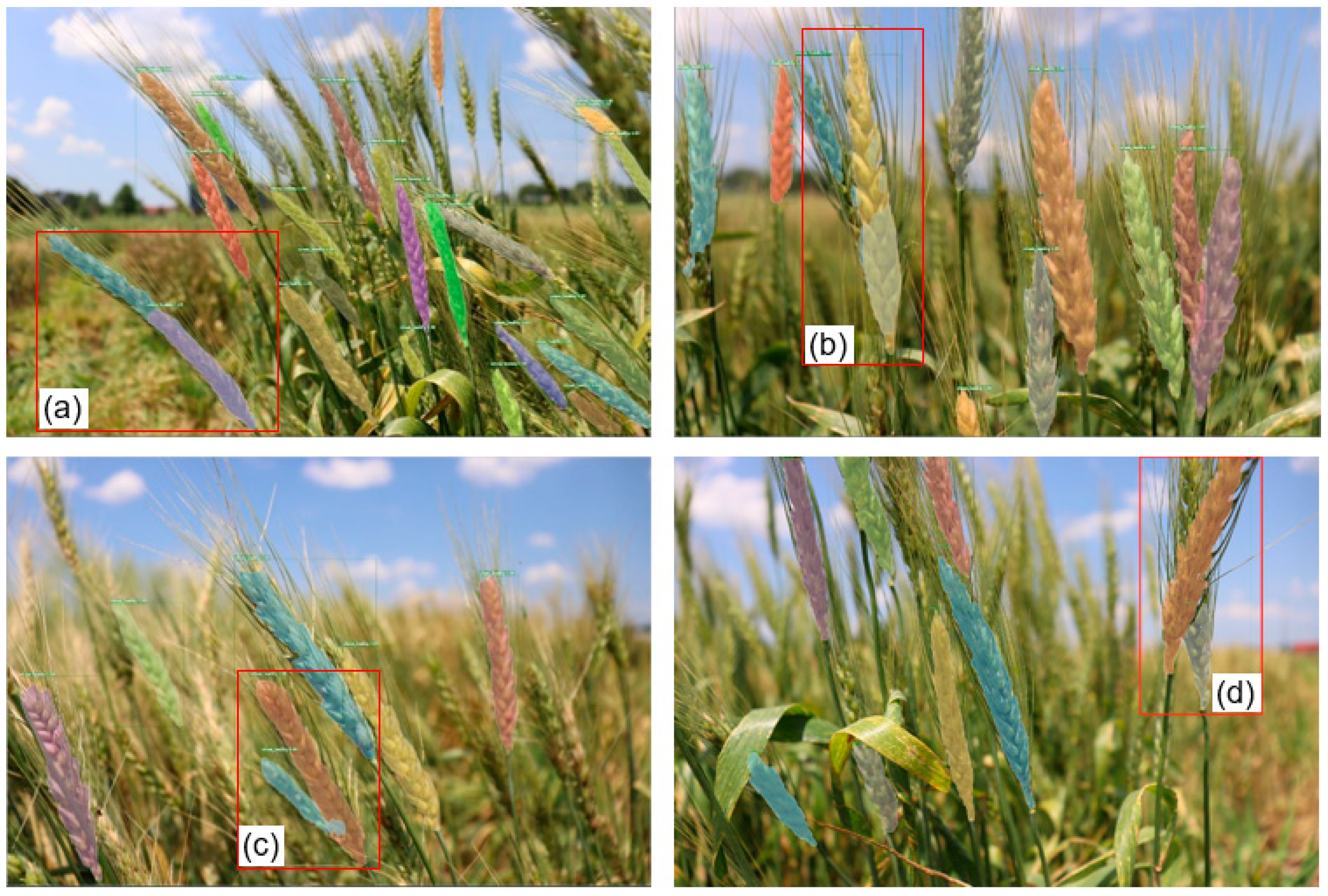 Remotesensing 13 00026 g007 Remotesensing 13 00026 g007