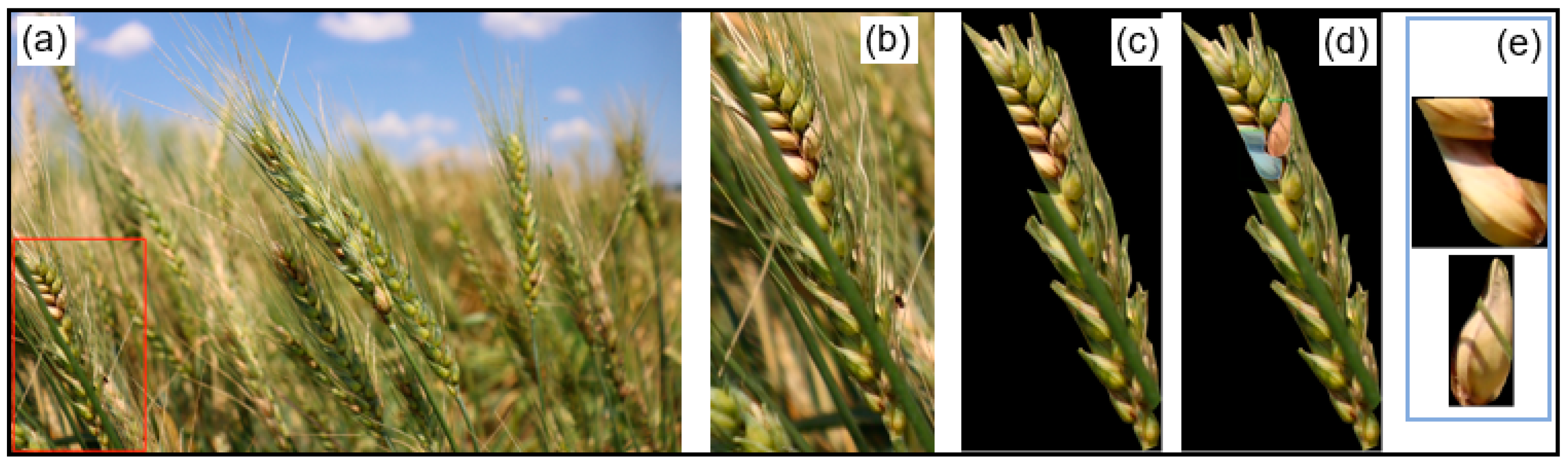 Remotesensing 13 00026 g009 Remotesensing 13 00026 g009