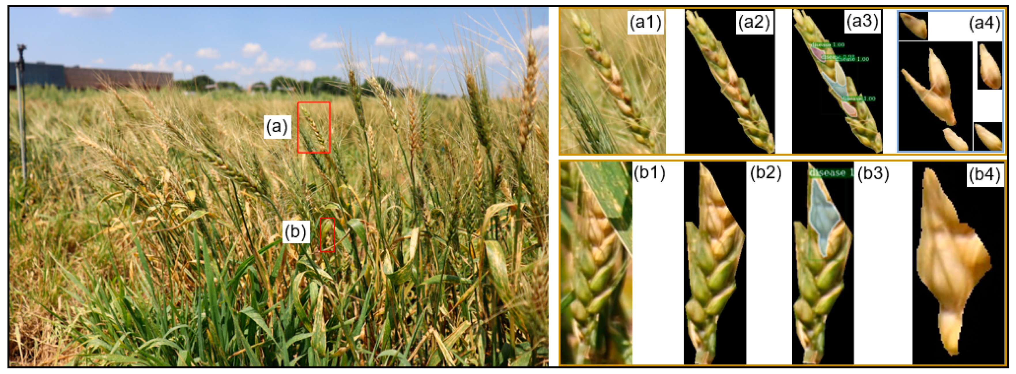 Remotesensing 13 00026 g010 Remotesensing 13 00026 g010