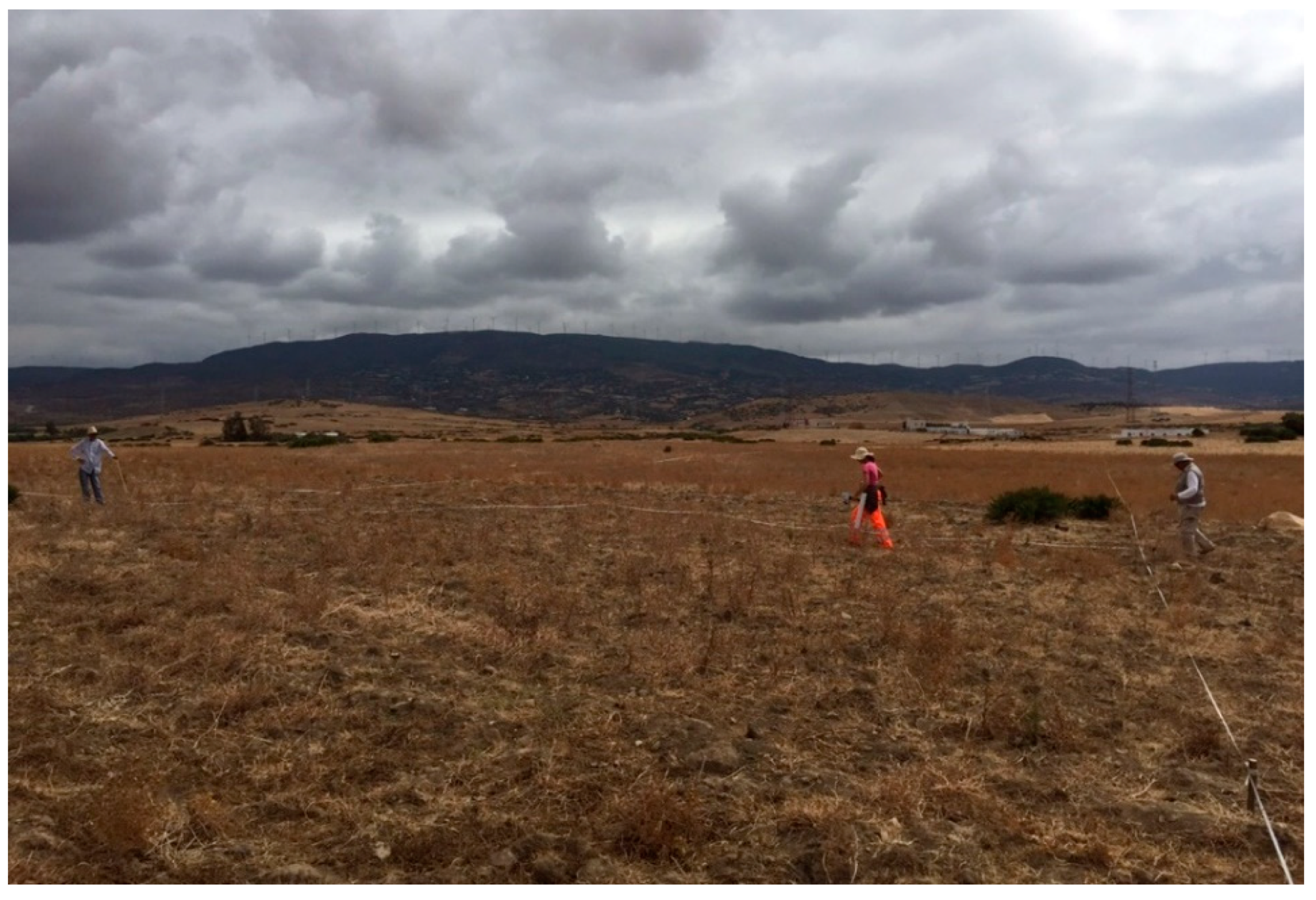 Remotesensing 13 00028 g005