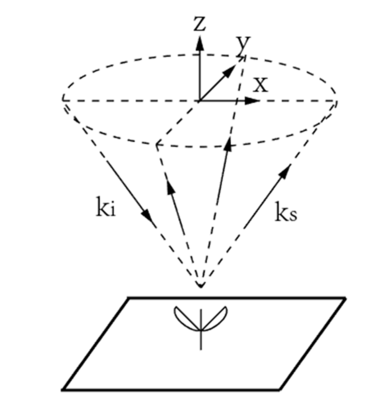 Remotesensing 13 00045 g007 Remotesensing 13 00045 g007