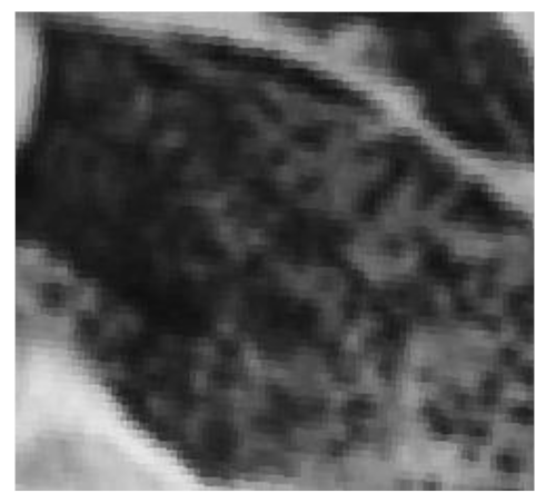 Remotesensing 13 00046 i003