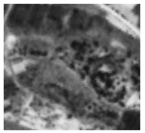 Remotesensing 13 00046 i005