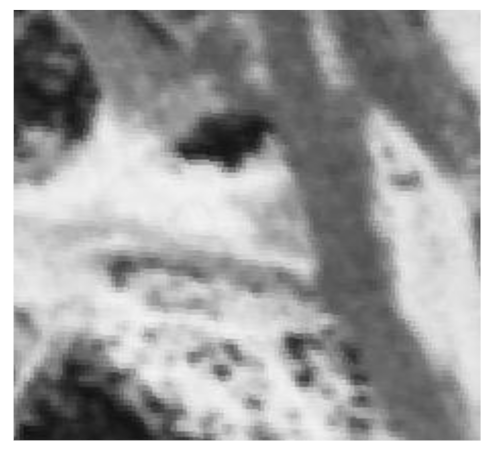 Remotesensing 13 00046 i009