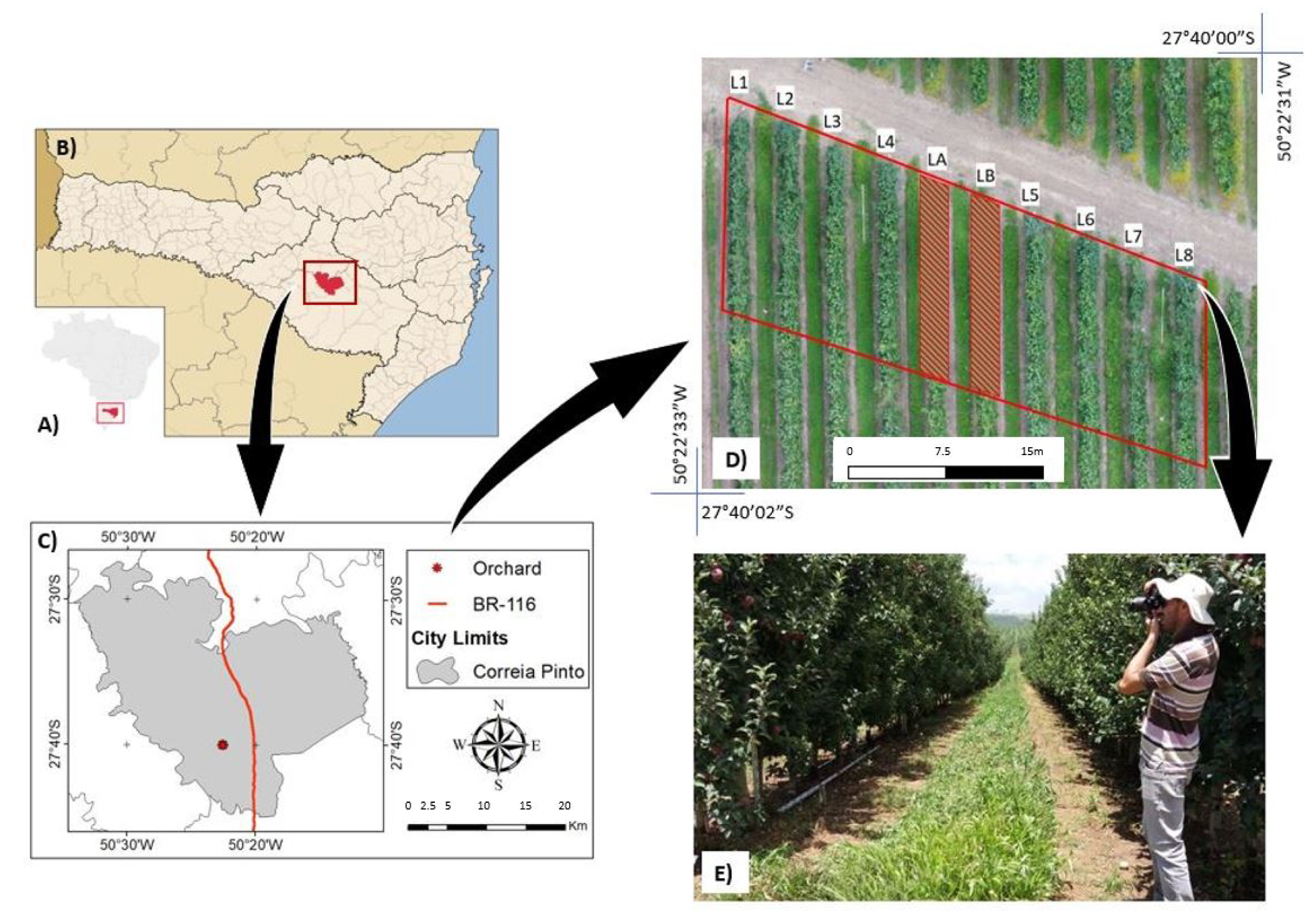 Remotesensing 13 00054 g001 Remotesensing 13 00054 g001