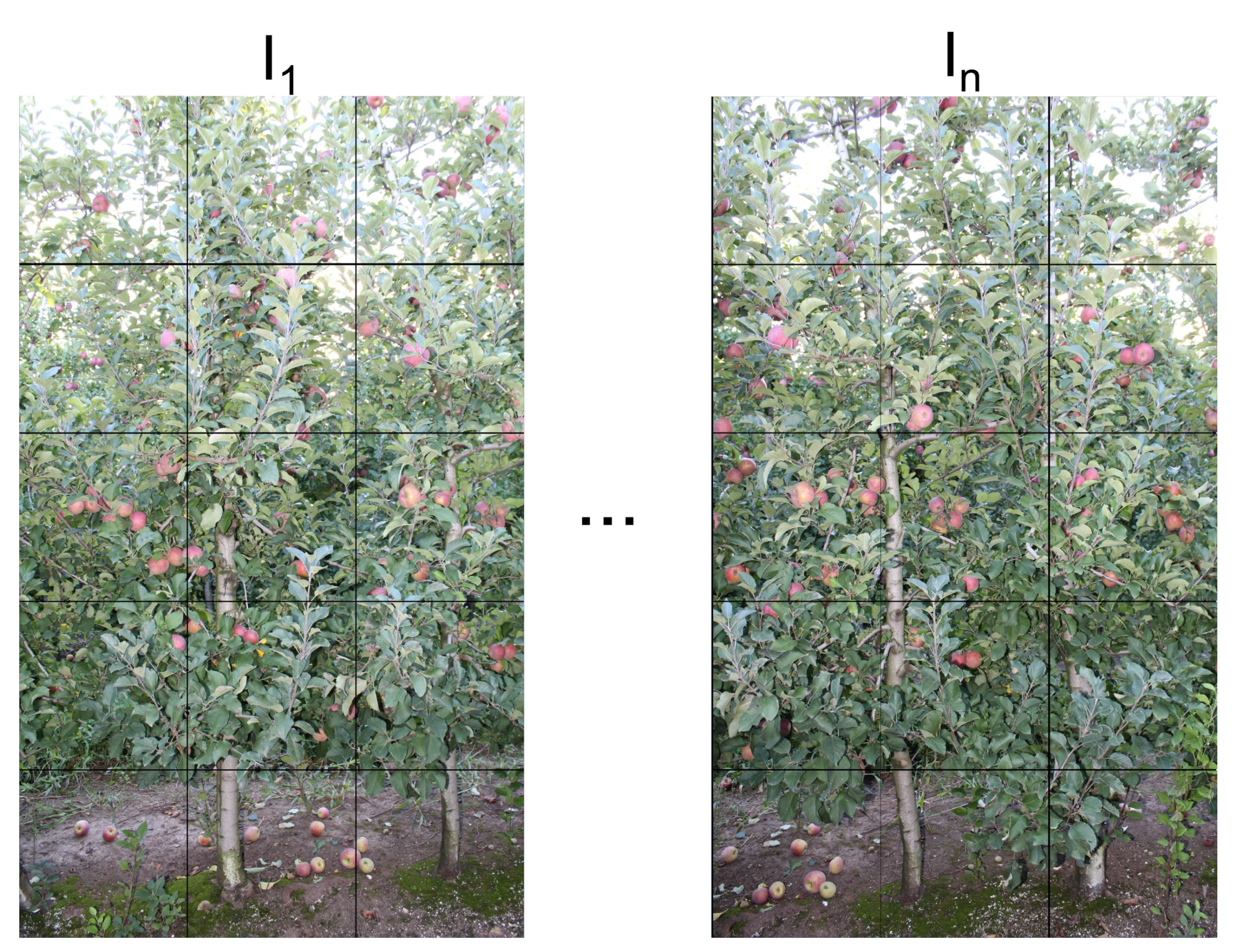 Remotesensing 13 00054 g004 Remotesensing 13 00054 g004