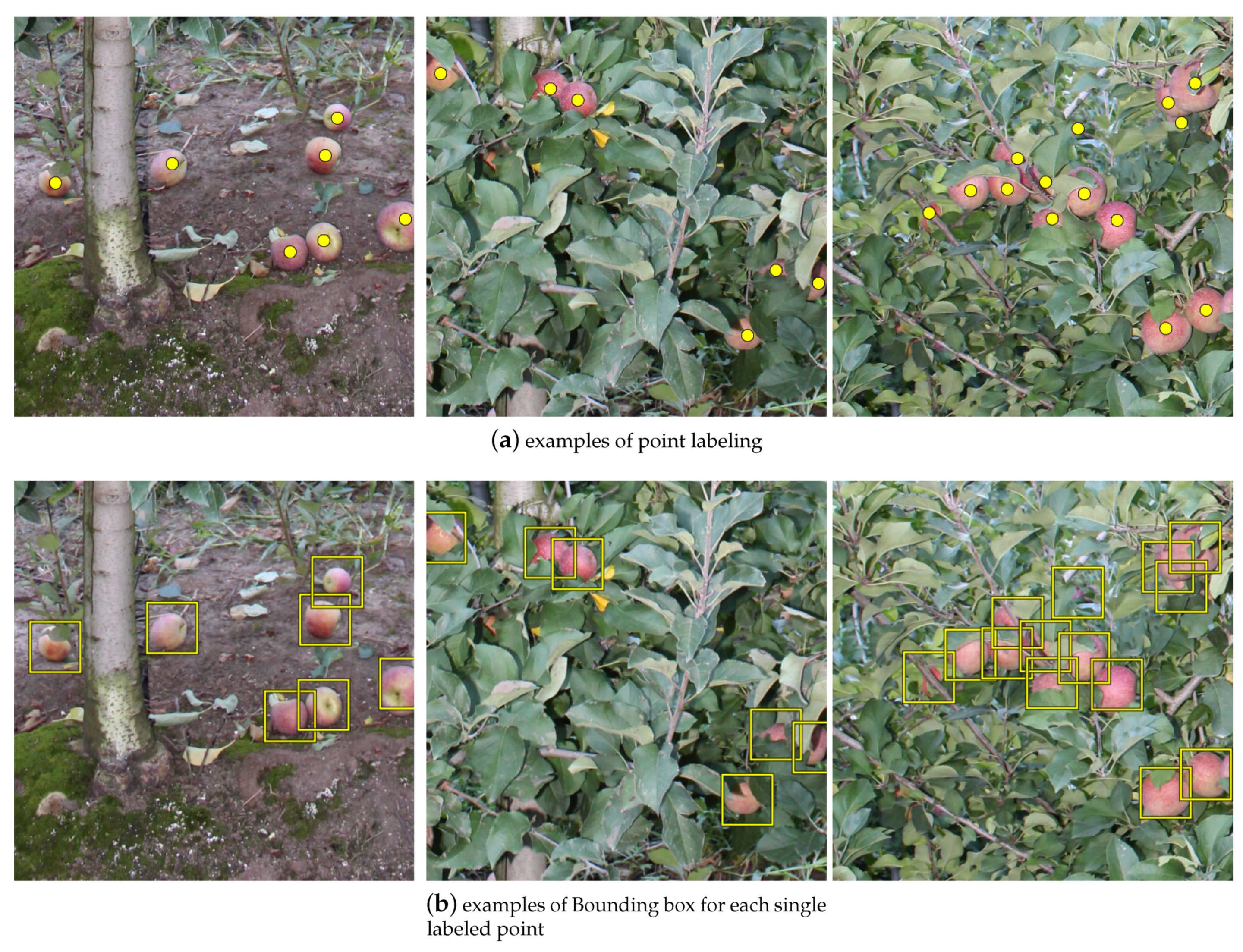 Remotesensing 13 00054 g005 Remotesensing 13 00054 g005