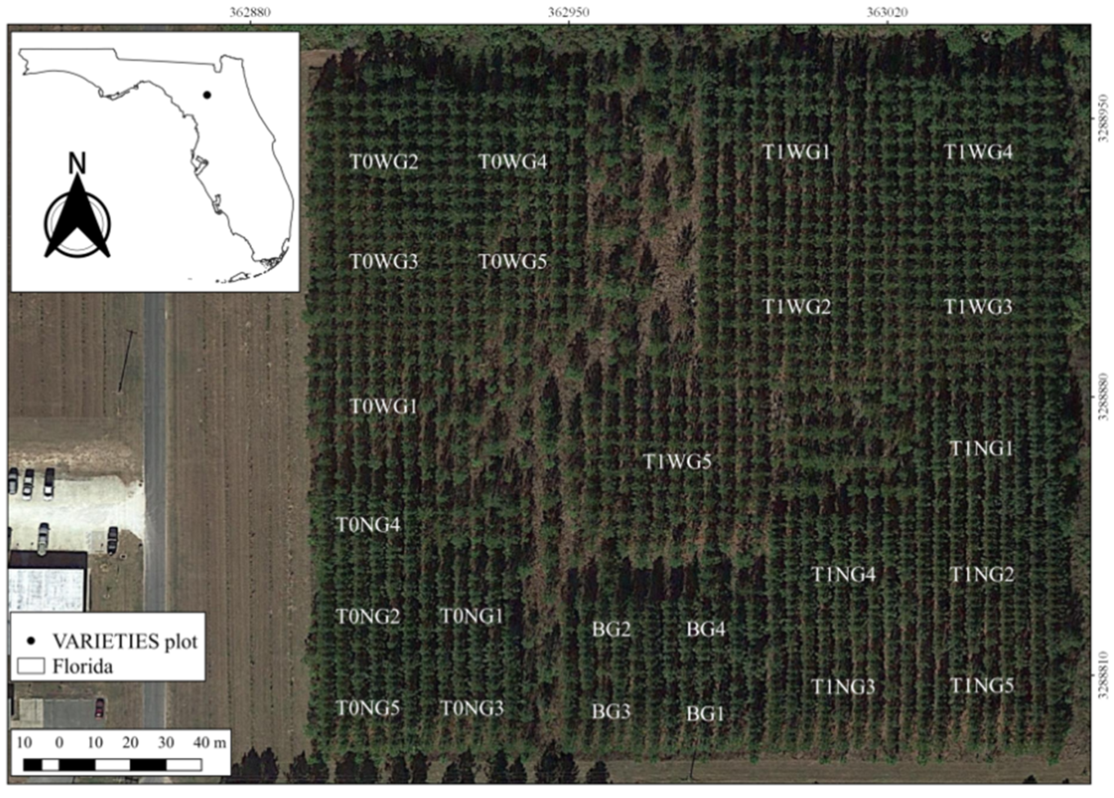 Remotesensing 13 00072 g001