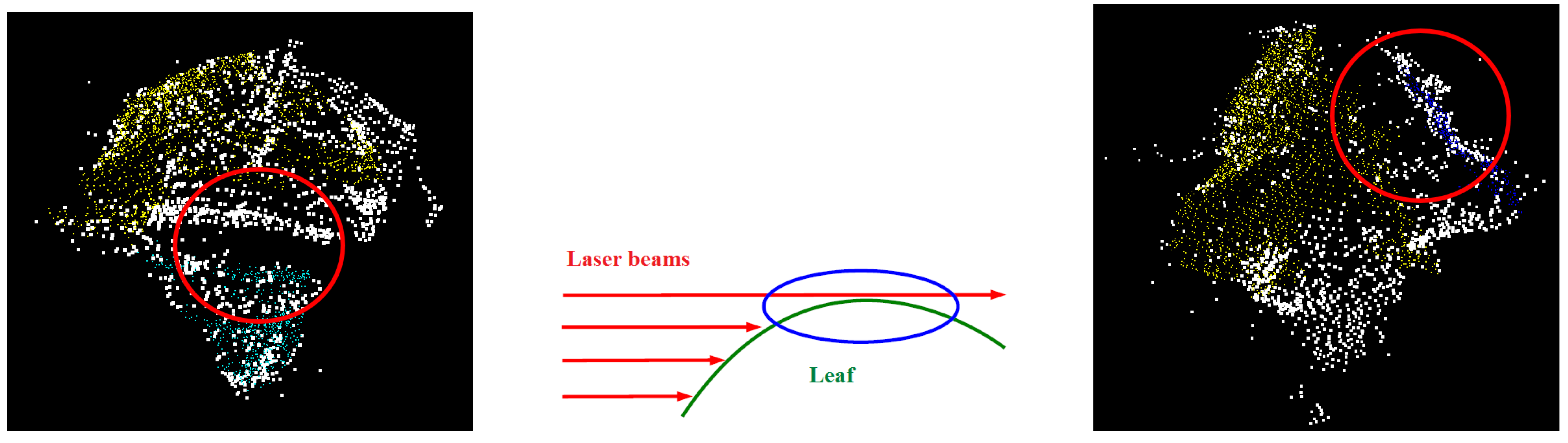 Remotesensing 13 00074 g013