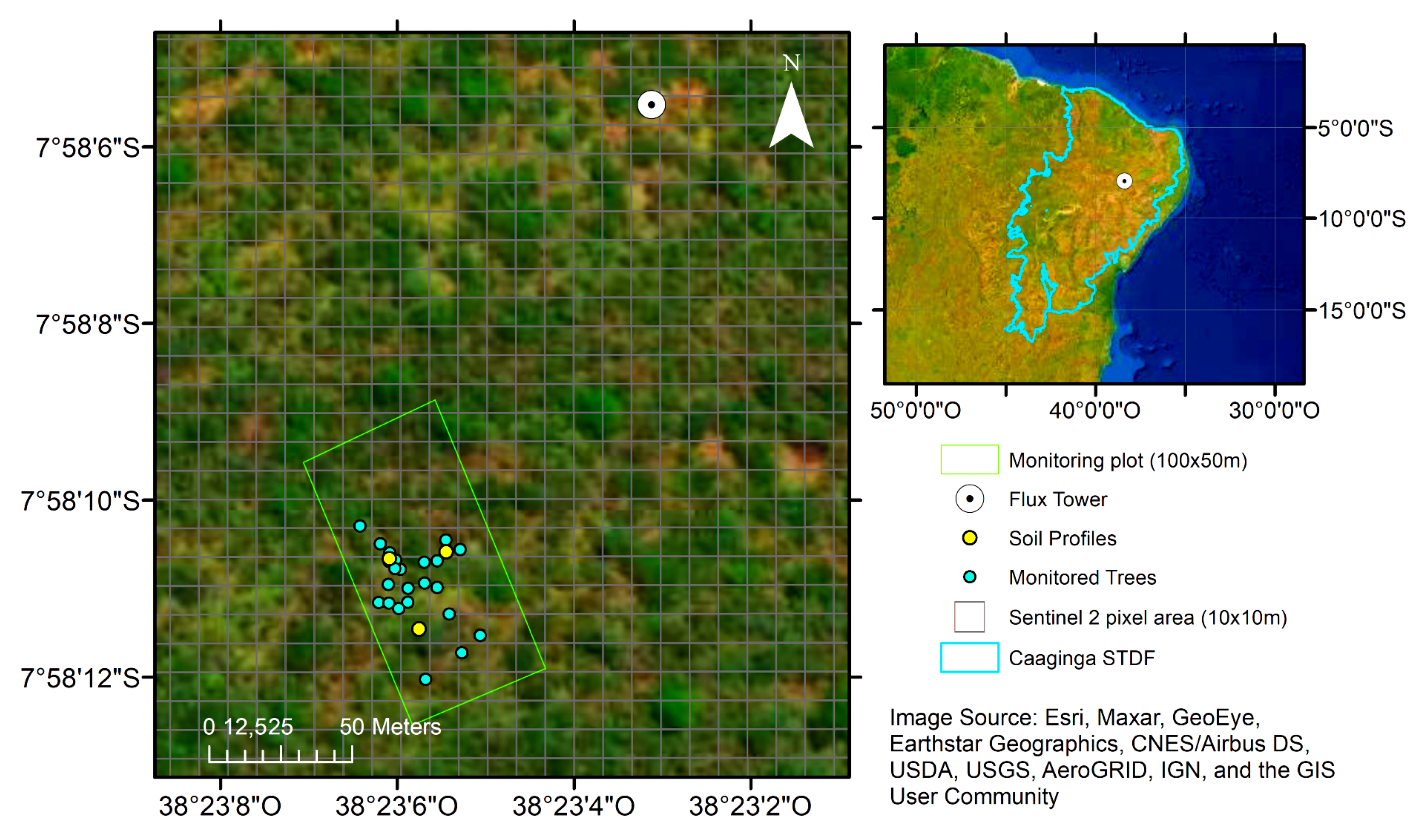 Remotesensing 13 00075 g001