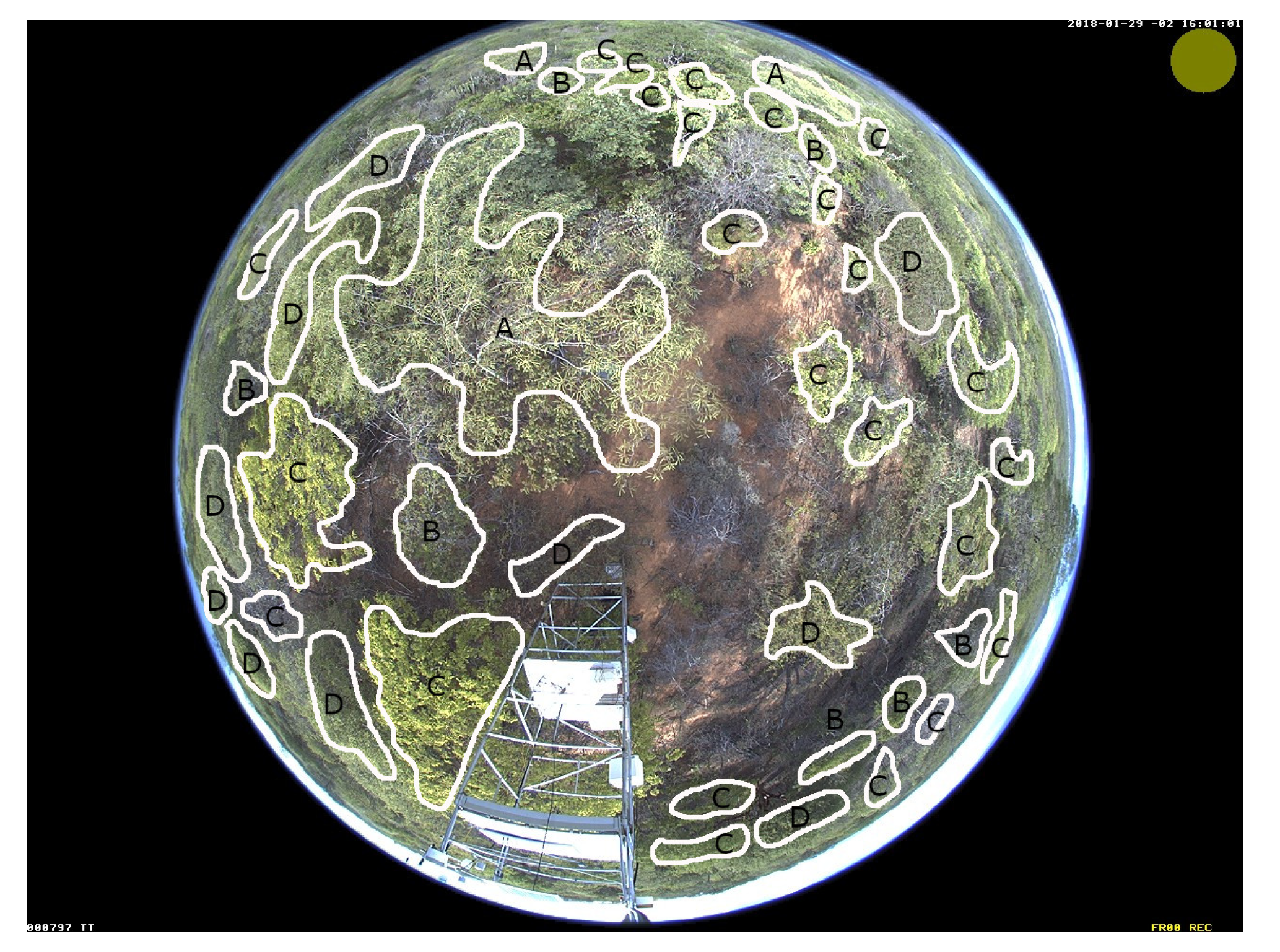 Remotesensing 13 00075 g003